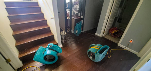 Best Water damage restoration specialists  in Tahoka, TX