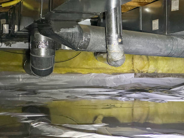 Best Flood damage cleanup  in Tahoka, TX